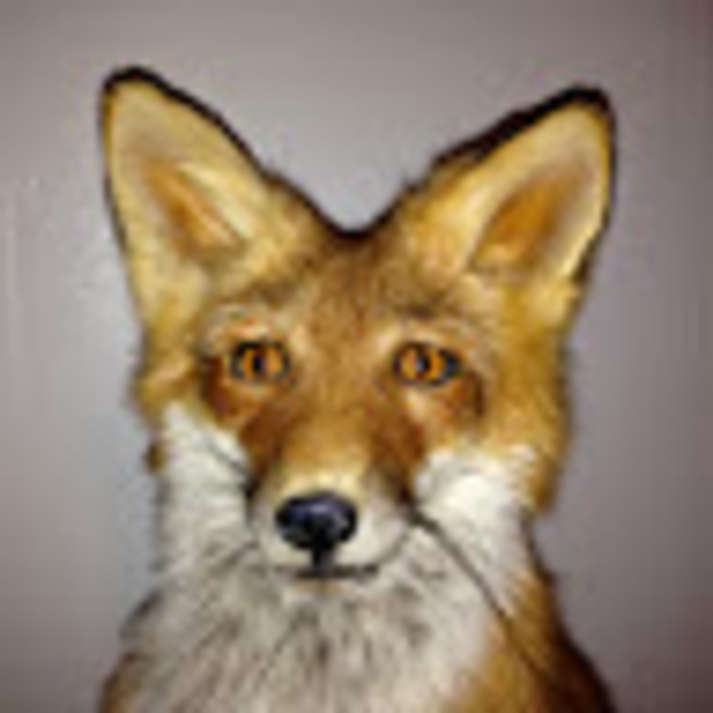 Meet your Posher, Jerry